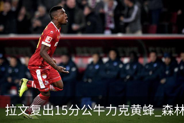 拉文复出15分公牛力克黄蜂 森林狼大胜火箭
